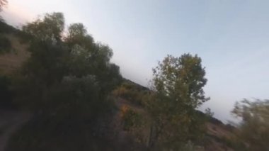 Hava aracı gün batımında ağaçların ve tarlaların yanında uçuyor.