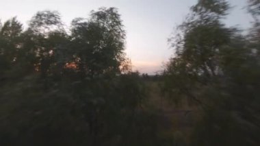 Hava aracı gün batımında ağaçların ve tarlaların yanında uçuyor.