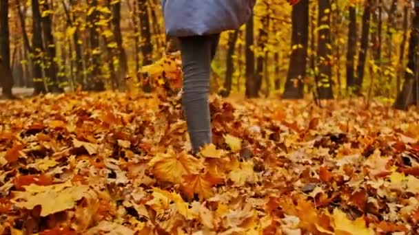 Mädchen wirft Blätter mit ihren Füßen — Stockvideo