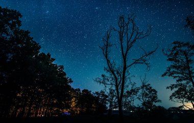 Yıldızlı muhteşem gökyüzü manzarası
