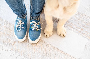 Pençeler ve bacaklar