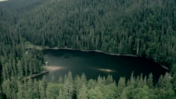 Montagnes des Carpates avec lac Synevir — Video
