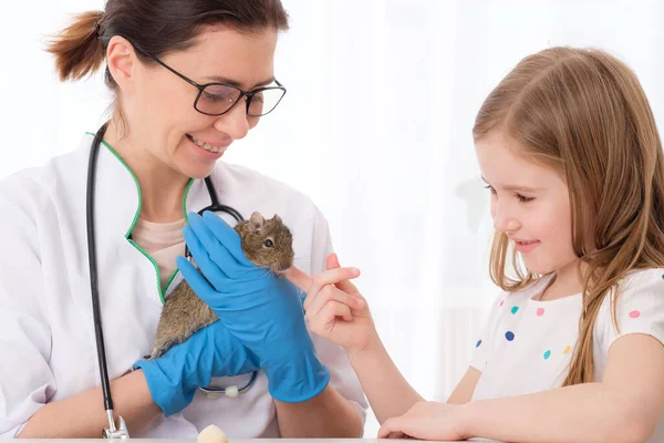 Dierenarts onderwijs klein meisje over haar huisdier — Stockfoto