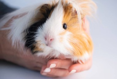 Komik mağara ellerinde