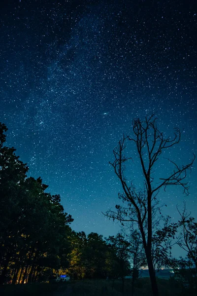 Cielo estrellado por encima del cinturón forestal — Foto de Stock