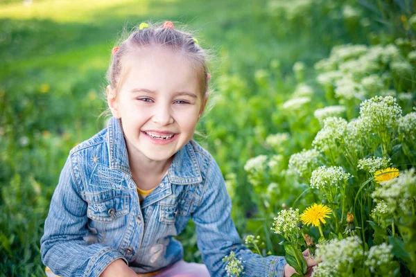 Malá usměvavá holčička sedící na poli trávy — Stock fotografie