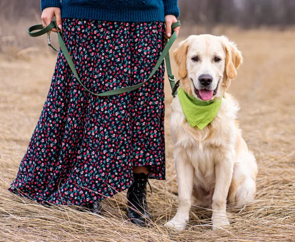 Hund neben weiblichen Beinen — Stockfoto