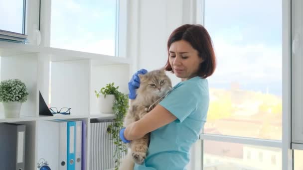 Mujer veterinaria acariciando gato en las manos — Vídeo de stock