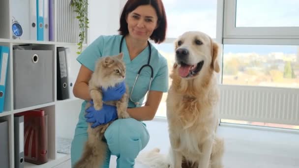 Médico con gato y perro en clínica — Vídeos de Stock