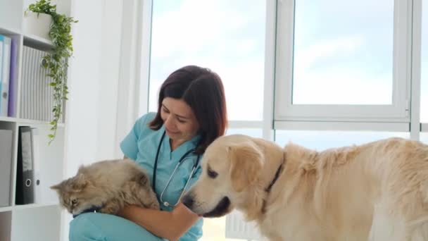 Veteriner kliniğinde kedi ve köpek. — Stok video