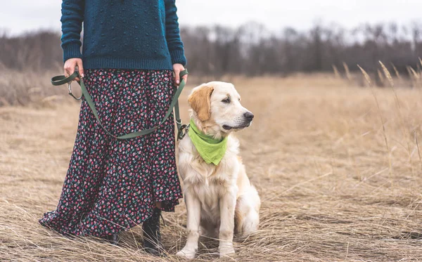 女性の足の隣の犬 — ストック写真