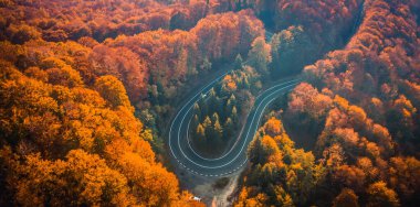 Güz ormanında Transfagarasan Yolu