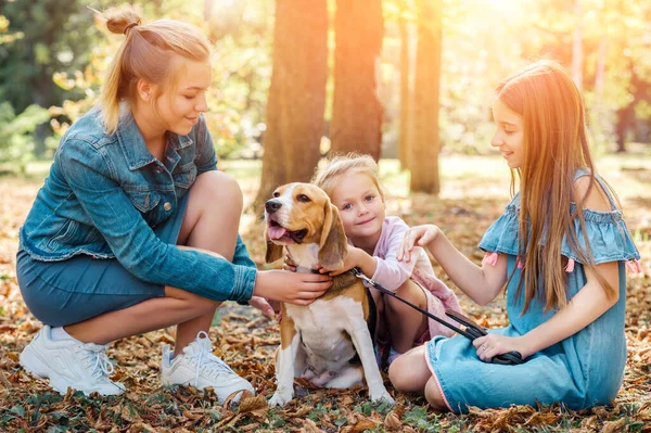 Schwestern spielen mit Beagle-Hund — Stockfoto