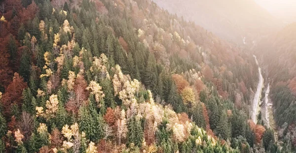 Strada che attraversa la foresta — Foto Stock