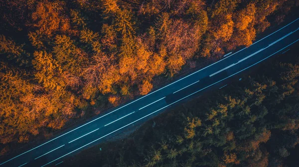 Estrada pavimentada entre árvores de outono — Fotografia de Stock