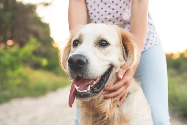 Mädchen hält Golden Retriever in der Natur — Stockfoto