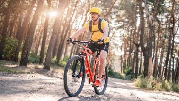 日当たりの良い森の中で自転車に乗る — ストック写真