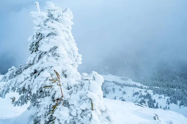 Paysage hivernal pittoresque de montagne — Photo