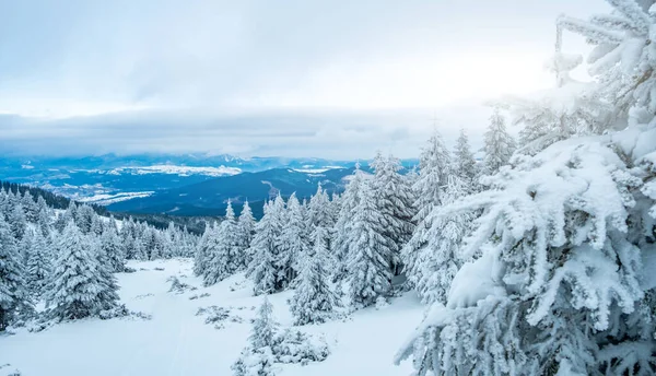 Paysage hivernal pittoresque de montagne — Photo