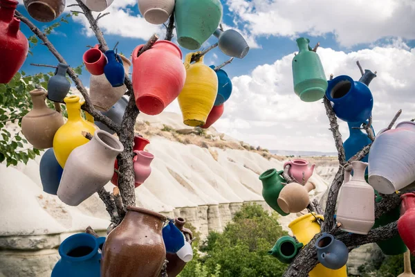 Colorful vases hanging on tree branch — Stock Photo, Image