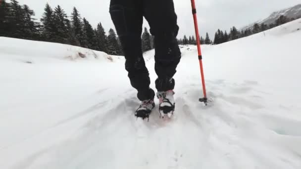 Man trekking besneeuwde berg in de winter — Stockvideo