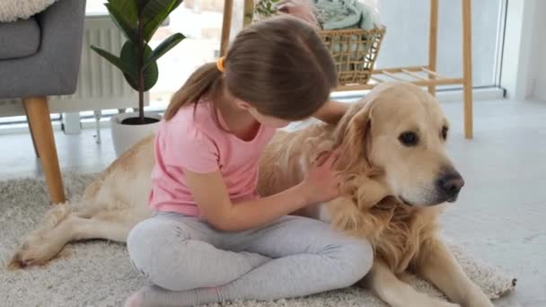 Flicka petting golden retriever hund — Stockvideo