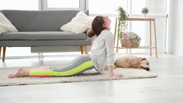 Flicka gör stretching med golden retriever hund — Stockvideo