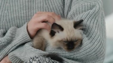 Paçavra kedi yavruları olan bir insan.