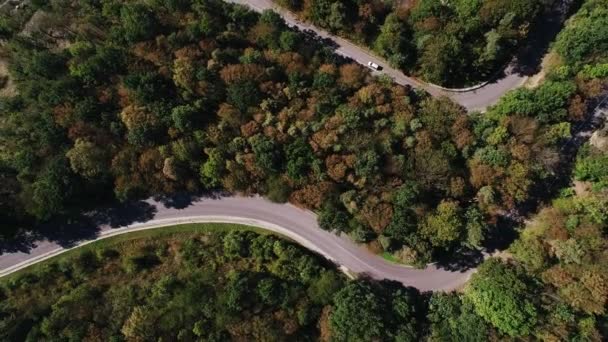 Serpentine road in Czech Republic — Stock video