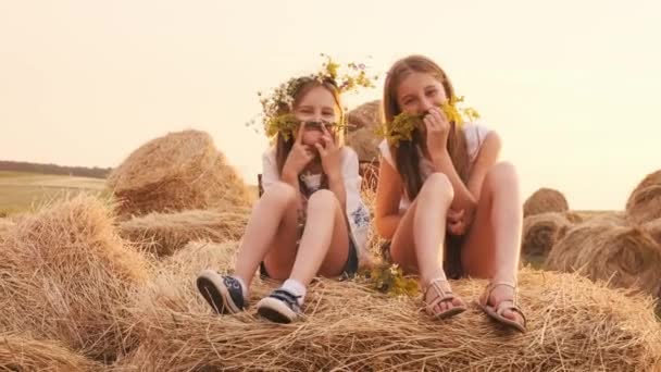 Lányok ülnek a szénán — Stock videók