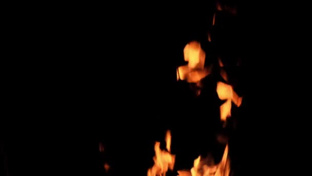 Красивое пламя костра — стоковое видео