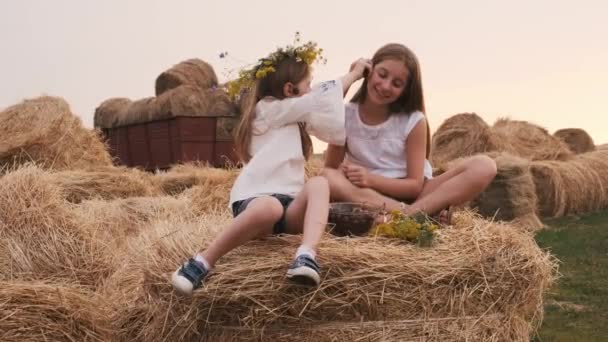 Kızlar samanlıkta oturuyor — Stok video