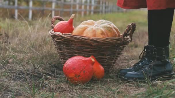 Abóboras de Halloween com rostos em pé perto da cesta — Vídeo de Stock