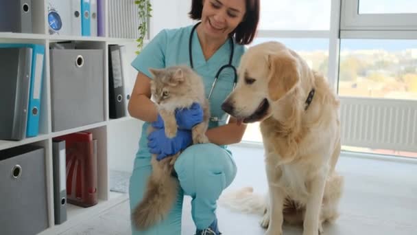 Dokter met kat en hond in kliniek — Stockvideo