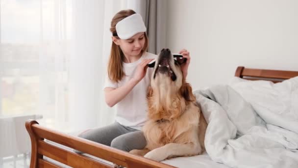 Gadis dengan anjing golden retriever di tempat tidur — Stok Video