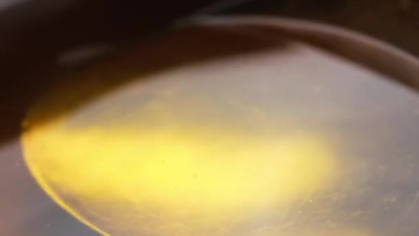 Zeytinyağı makrosu — Stok video