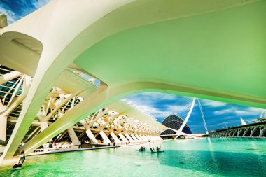 Sanat ve bilim şehri