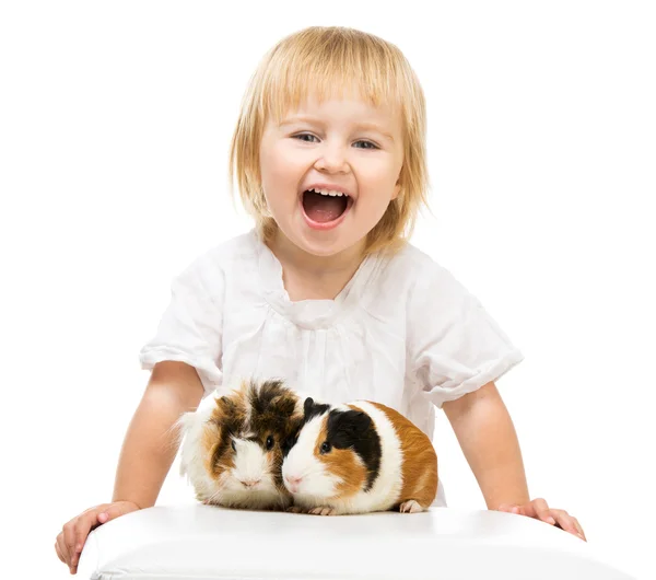 Маленькая милая девочка с подопытными кроликами — стоковое фото