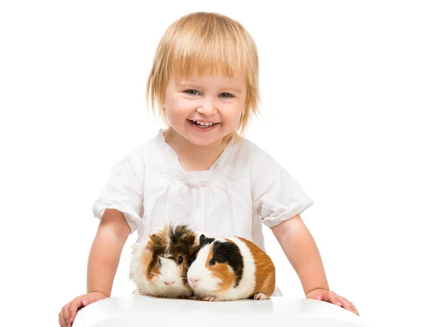 Bambina con in mano una cavia — Foto Stock