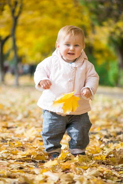 Малыш в парке — стоковое фото
