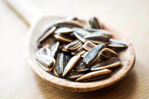 Sunflower seeds — Stock Photo, Image