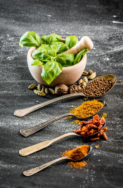 Basil en specerijen — Stockfoto