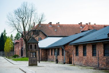 Auschwitz toplama kampı