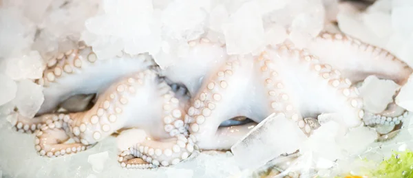 Fresh octopus on ice — Stock Photo, Image