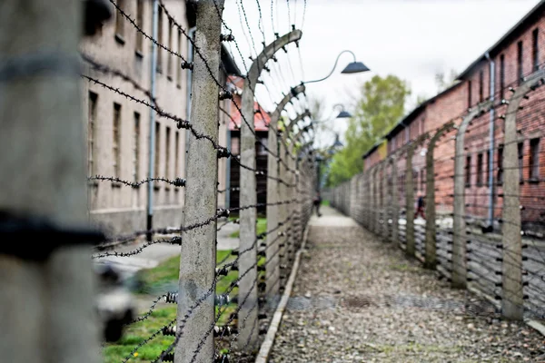 Auschwitz Concentration Camp — Stock Photo, Image