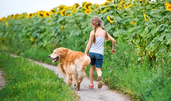 Liten flicka med golden retriever — Stockfoto