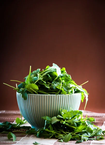 Rucola in bowl — Stock Photo, Image