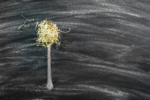 Broccoli sprouts — Stock Photo, Image