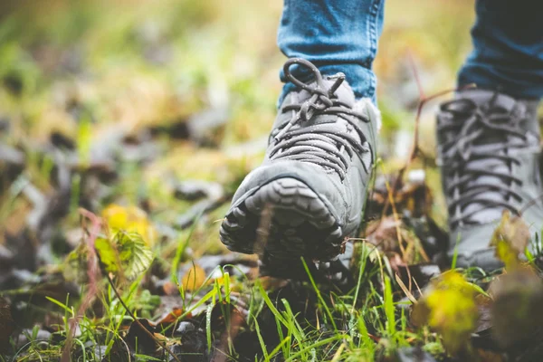 Chaussures dans une forêt — Photo