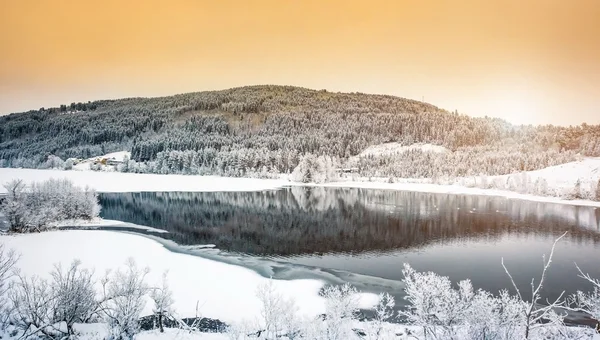 Vinterlandskap — Stockfoto